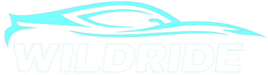Wild Ride Mobile Auto Detailing